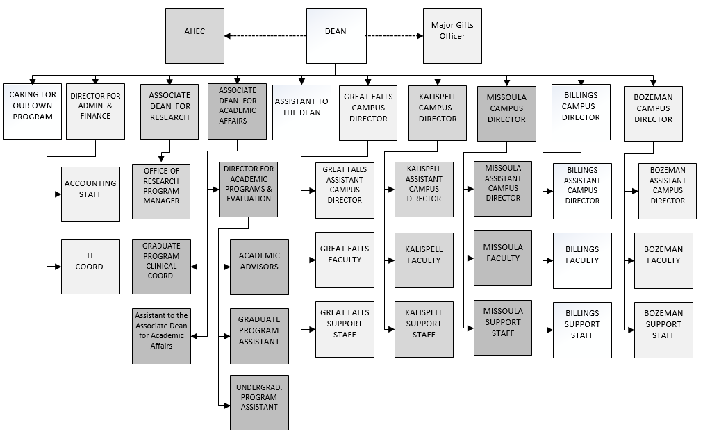 Nanda Nursing 14+ Organization Chart Of Nursing College